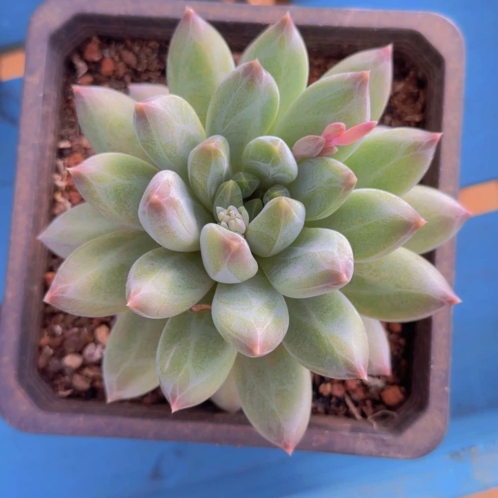 送1111111111111111111111