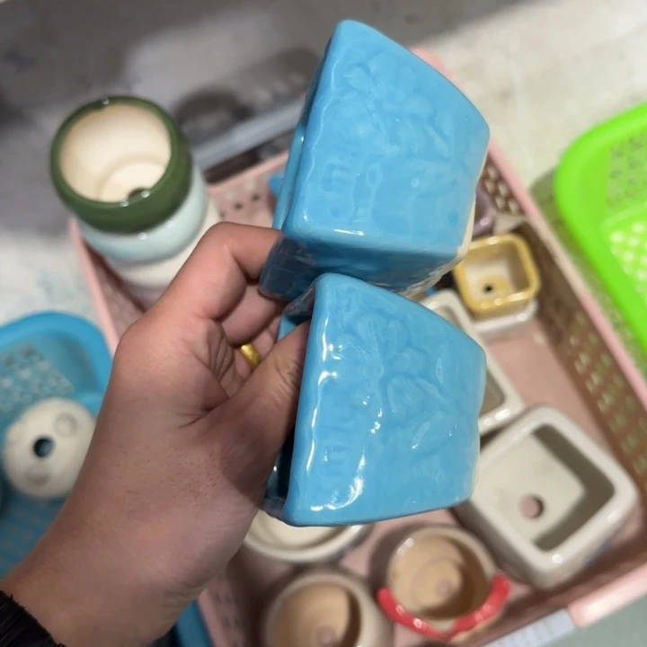 2《所有单满15发（花盆）》6×5