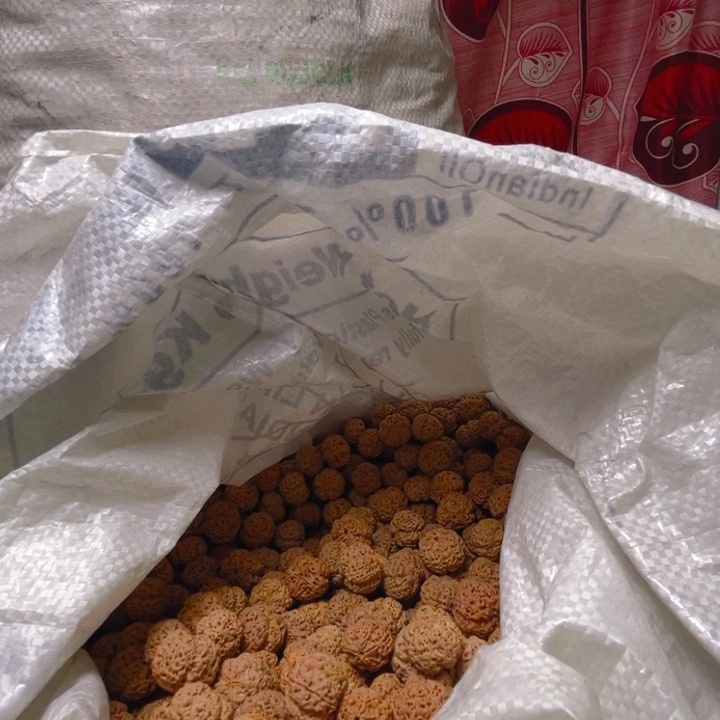 金刚菩提手串梅花批发