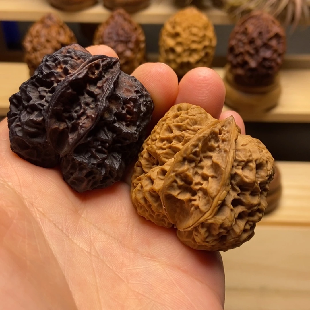 文玩核桃把件蛮荒古蟾异型生命