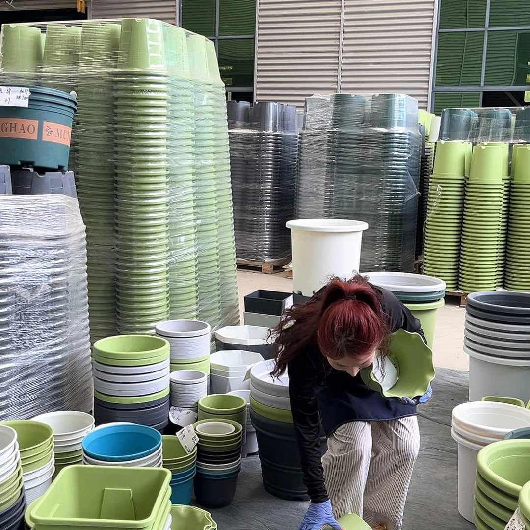 荷叶盆3#果绿色5个含托