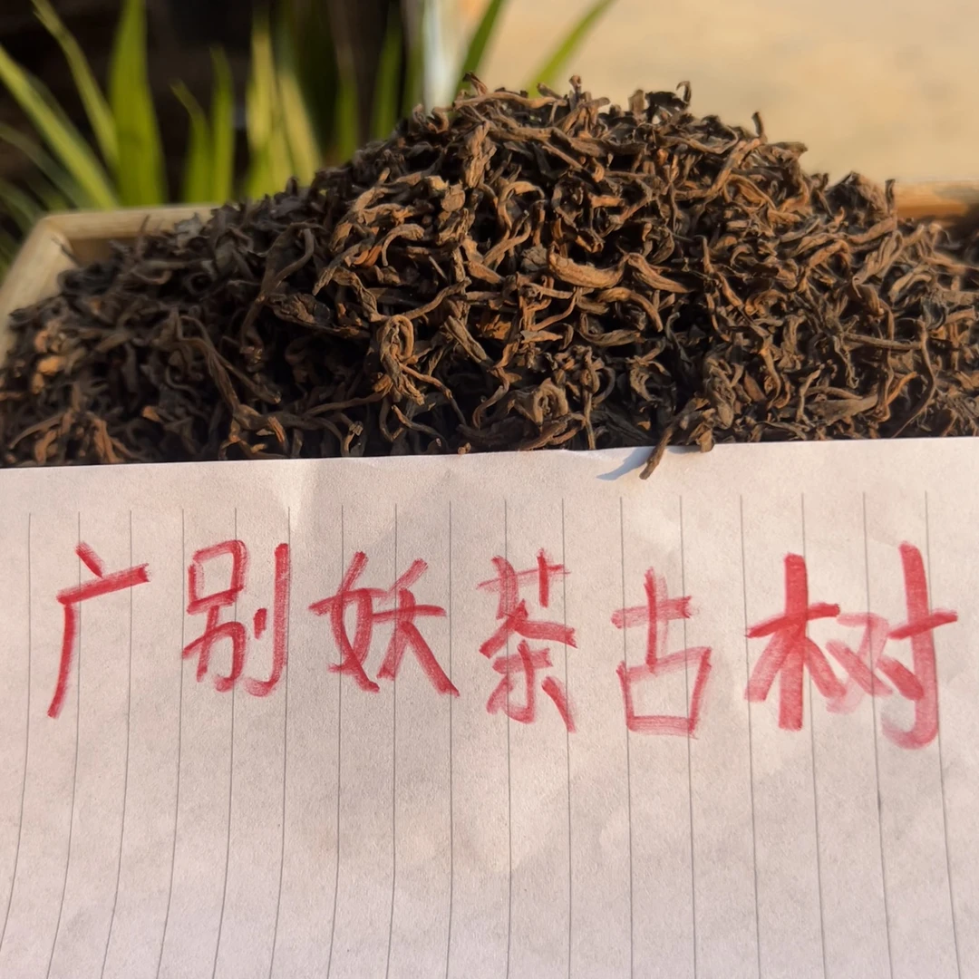 2015年广别妖茶古树 散料