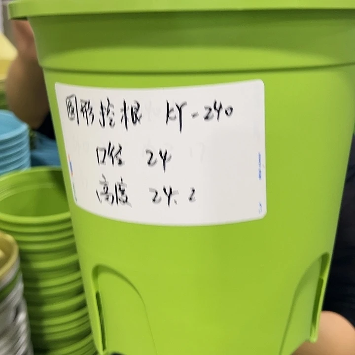 正品圆控口24高24果绿带托8只
