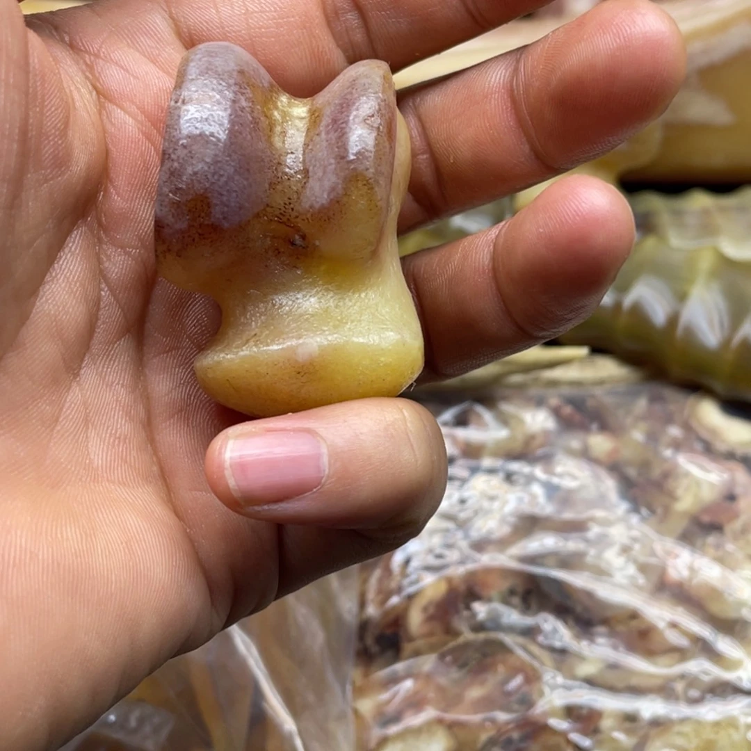 星***晴驼骨手串/手链工艺品13