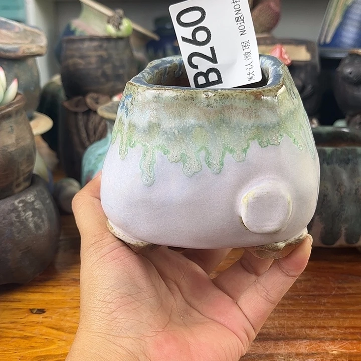 重庆小燕子欢迎大家一起260