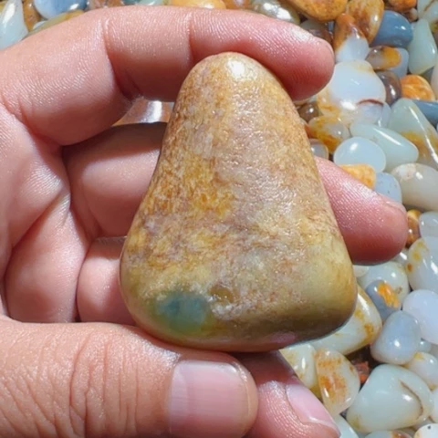 和田玉（糖玉）手链未镶嵌16