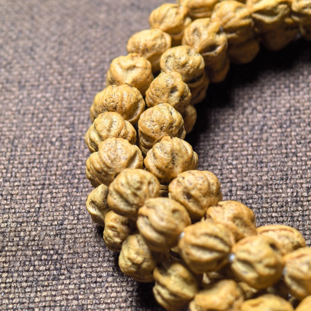 I 雪莲 I 热振柏香/百香 龙脊莲花 粉皮微麻