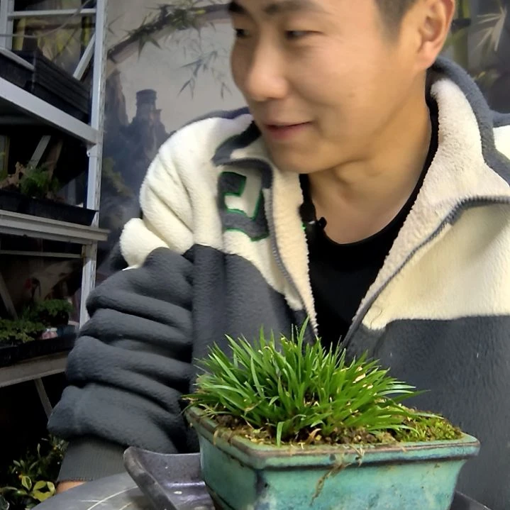 鱼***语中青园艺一物一拍花9