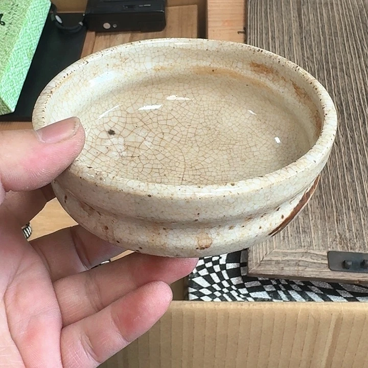 紫砂花盆啦啦啦啦啦啦h*