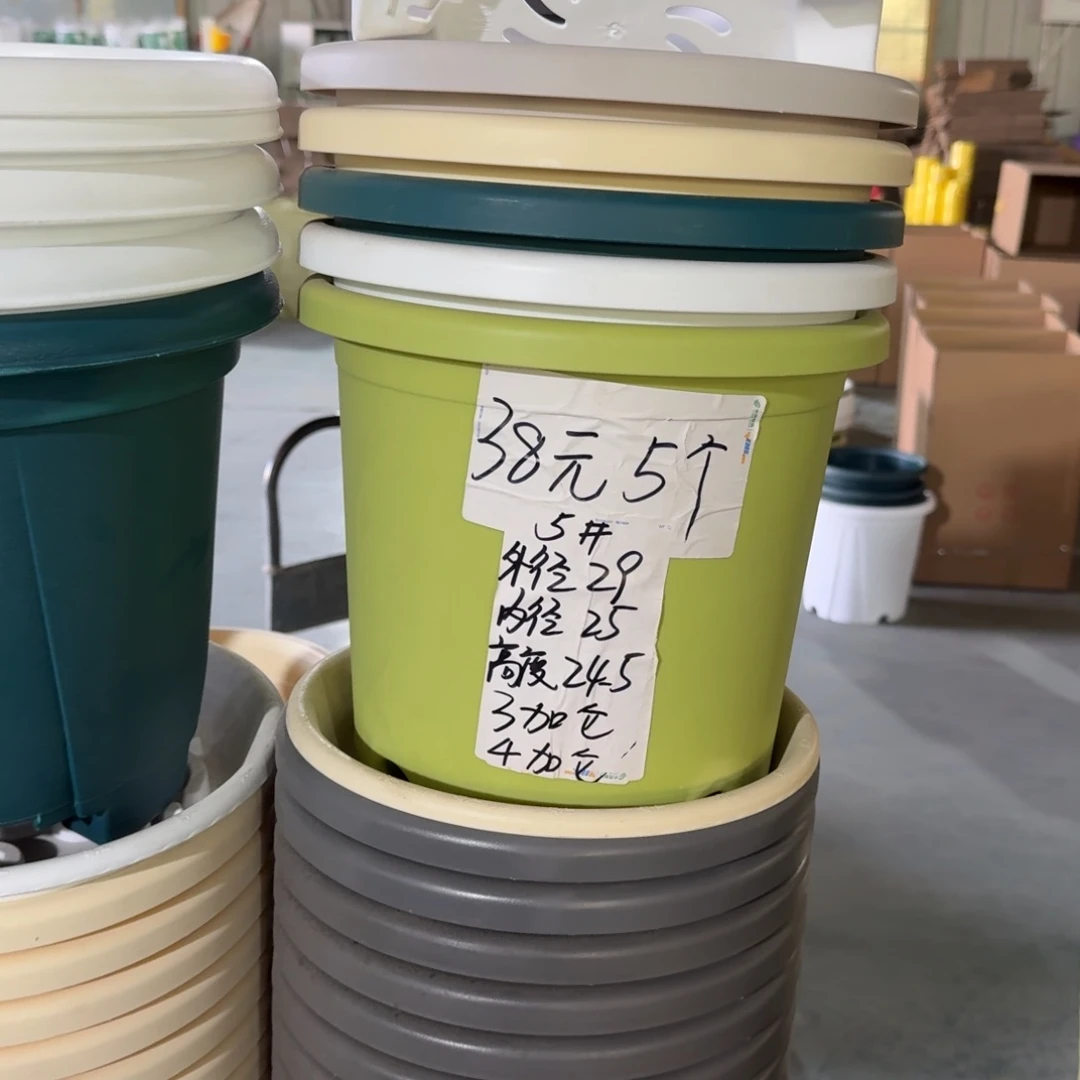 四季5#口径29无拖果绿5个