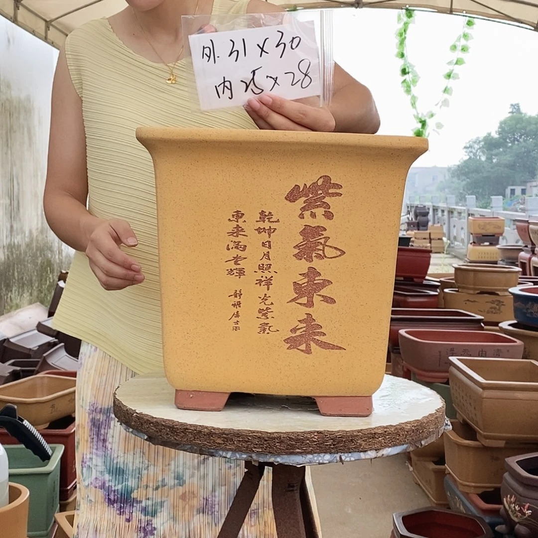 花盆紫砂紫砂花盆