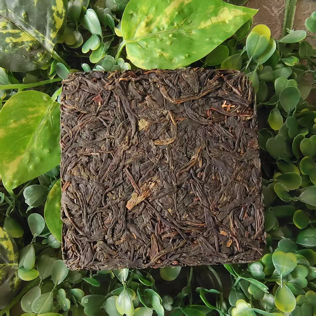 雨腾核心班 “S仙Z化 十大N经”紫芽200g/砖 生茶（7月3）