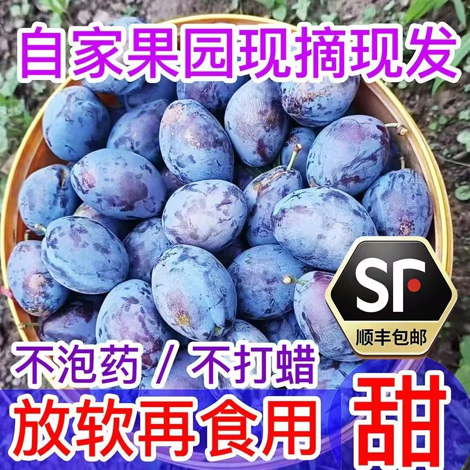 【顺丰包邮】正宗高山甜西梅当季新鲜现摘新鲜西梅当季新鲜孕妇水果