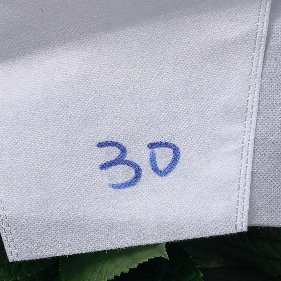 绣球切花一物一拍3枝起包邮，30