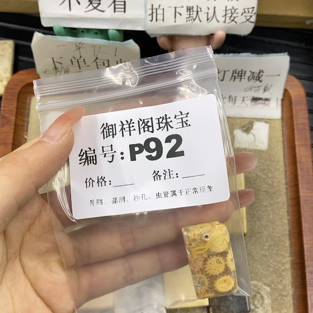 硅化珊瑚（珊瑚玉）未镶嵌颈饰焯*