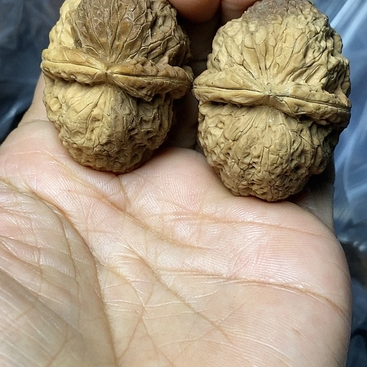 文玩核桃把件云南铁核桃55