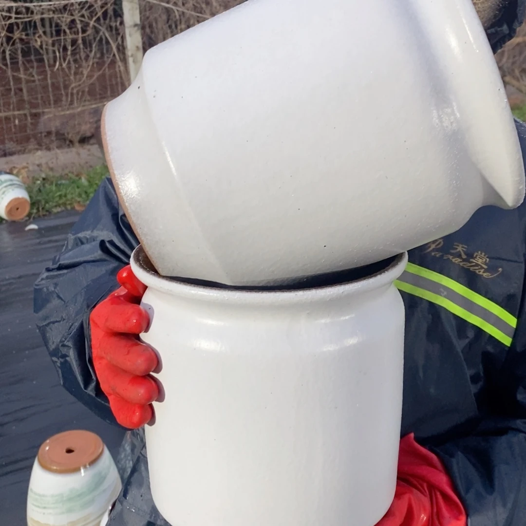 红陶口19高24～～～