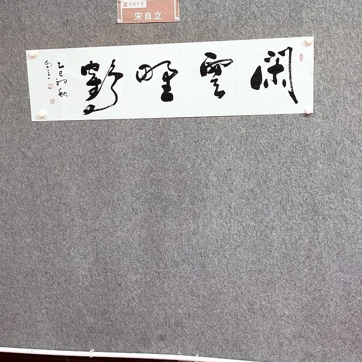 书法闲云野鹤作品