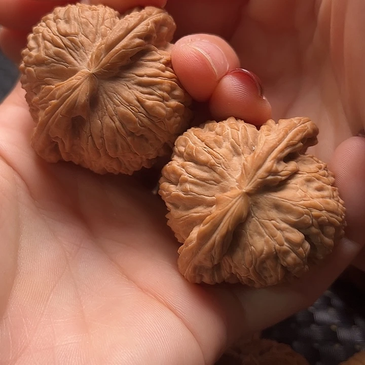 文玩核桃把件46白狮子