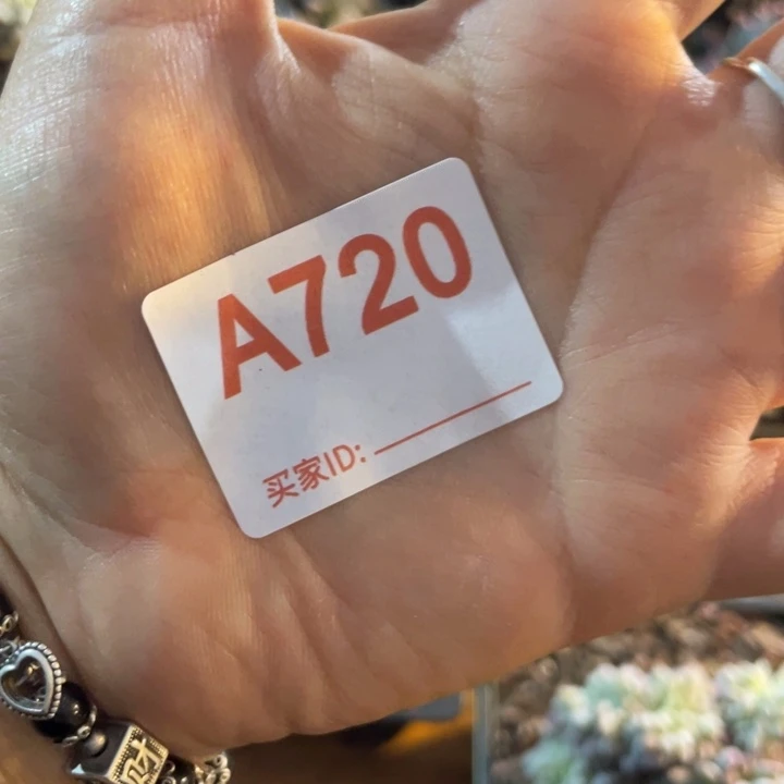 哈哈哈哈哈哈哈720