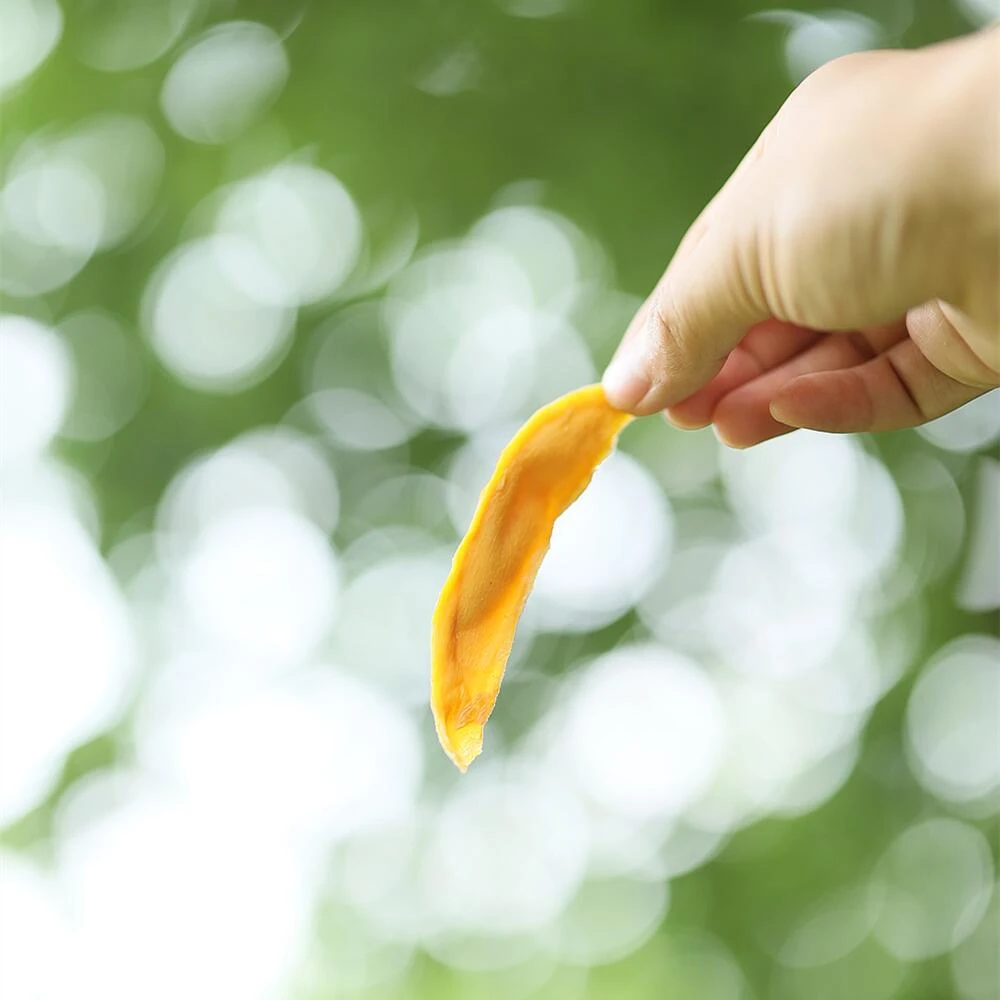 老饶家手工芒果干 配料表仅芒果 儿童孕妇休闲零食 100克