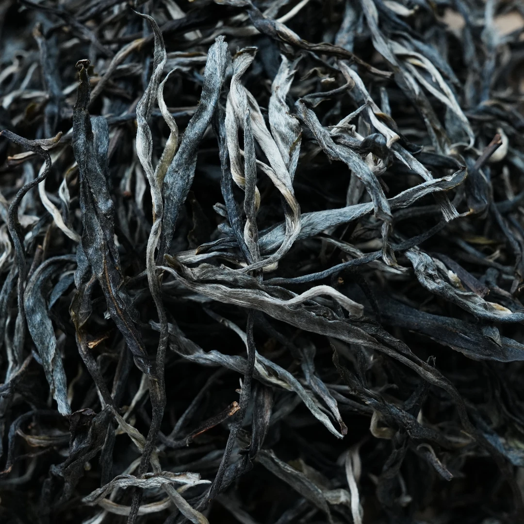 【A802】勐库 正气塘2022年 古树 头春 单株 9月17日