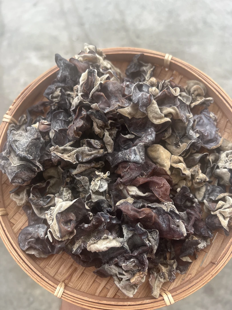 广东信宜本地凉拌炒菜干货木耳