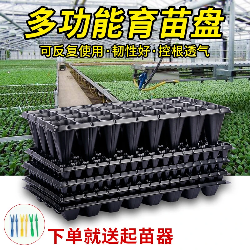 育苗盘穴盘塑料种植神器育苗盆玉米扦插发芽豆芽家用草莓播种育苗