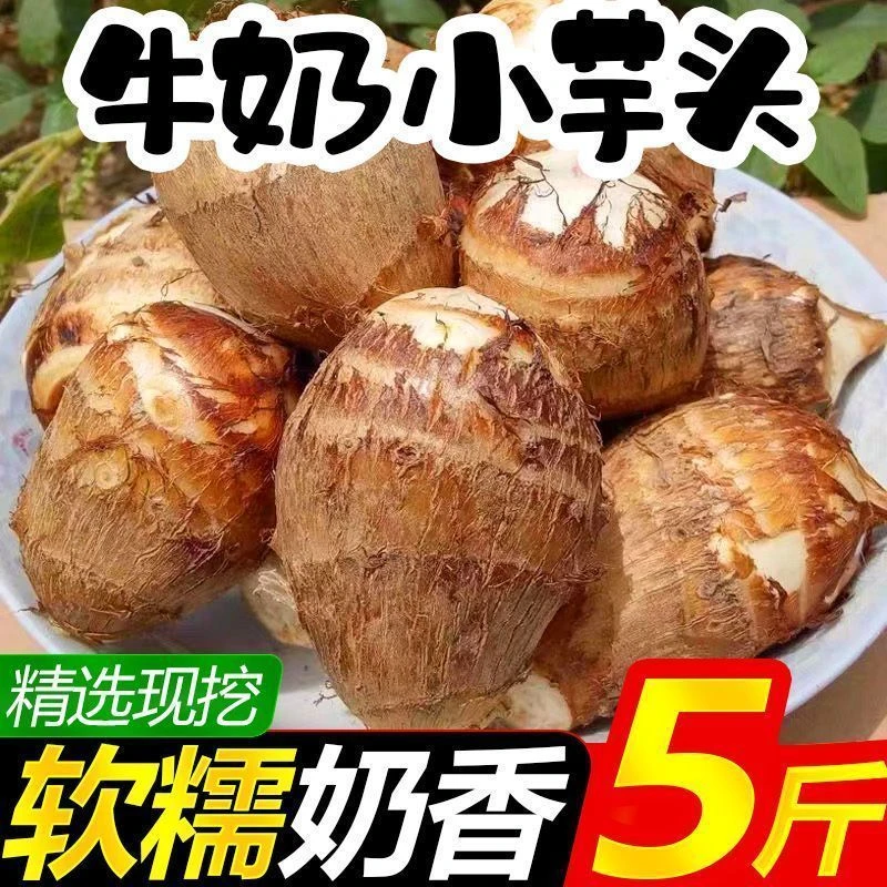 【特价】贵州新鲜牛奶小芋头香芋头现挖毛芋头小香芋当季整箱批发