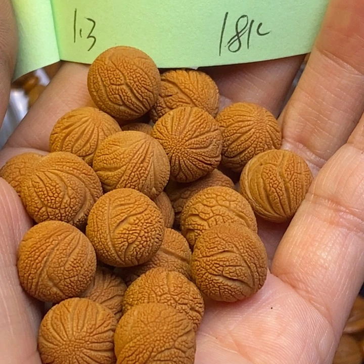 桃核吊坠秦岭龙纹桃核13尺寸