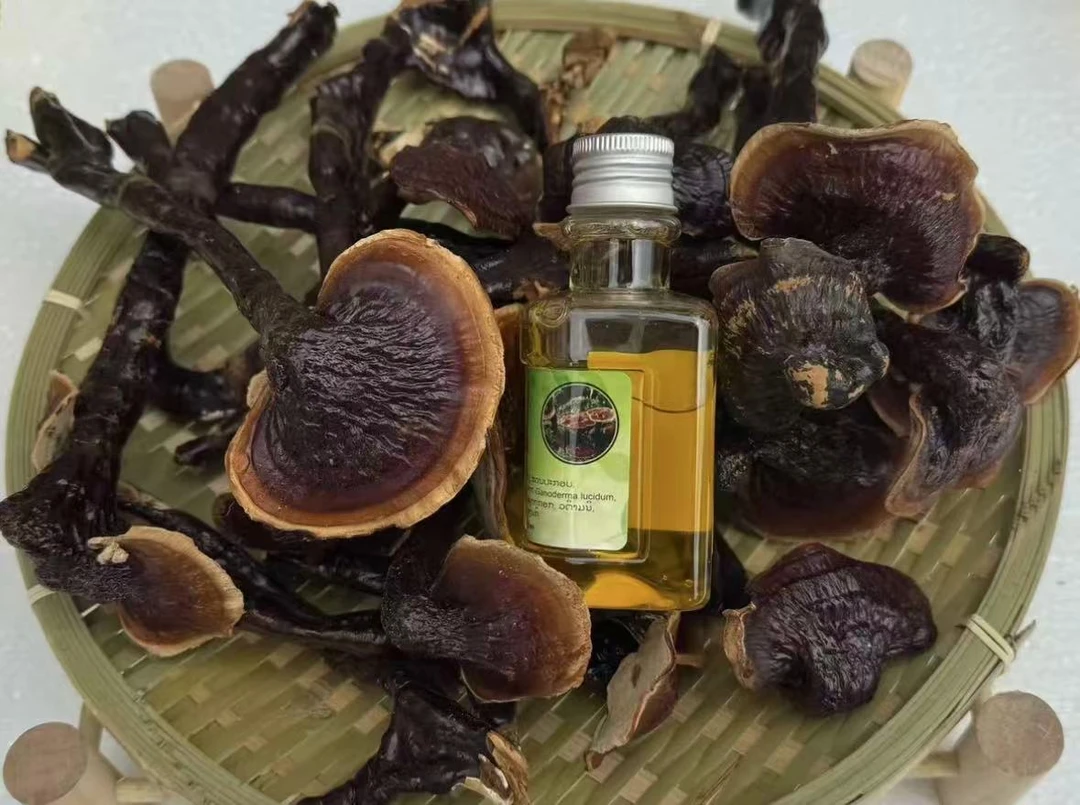传统滋补营养品土特产灵芝精油