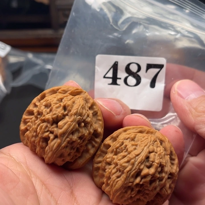 核桃39全品白狮子