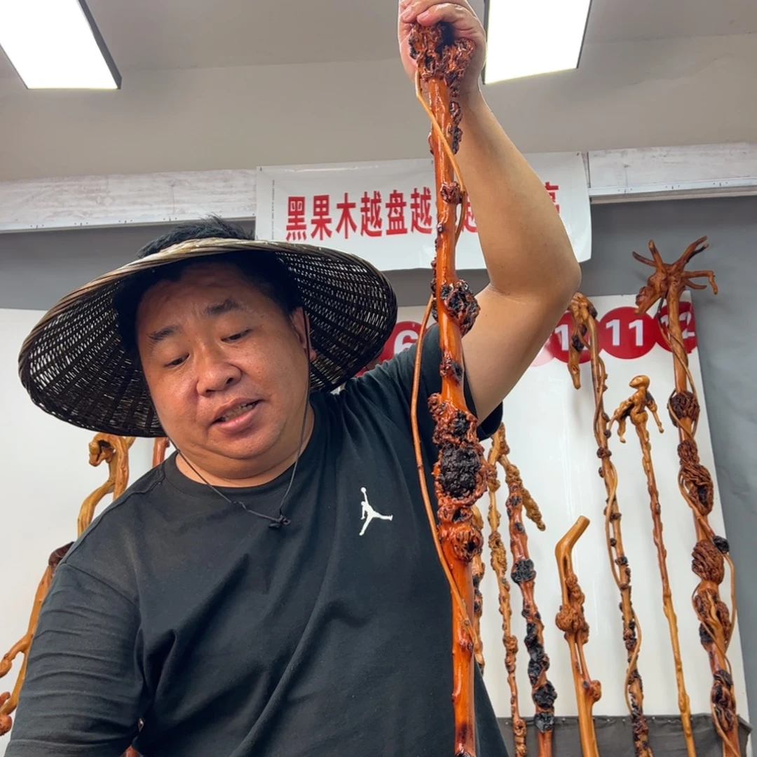 沉***人黑果木其他黑果木109