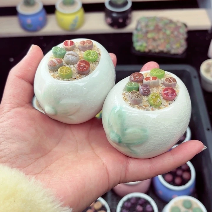 580零下地区记得拍保温箱