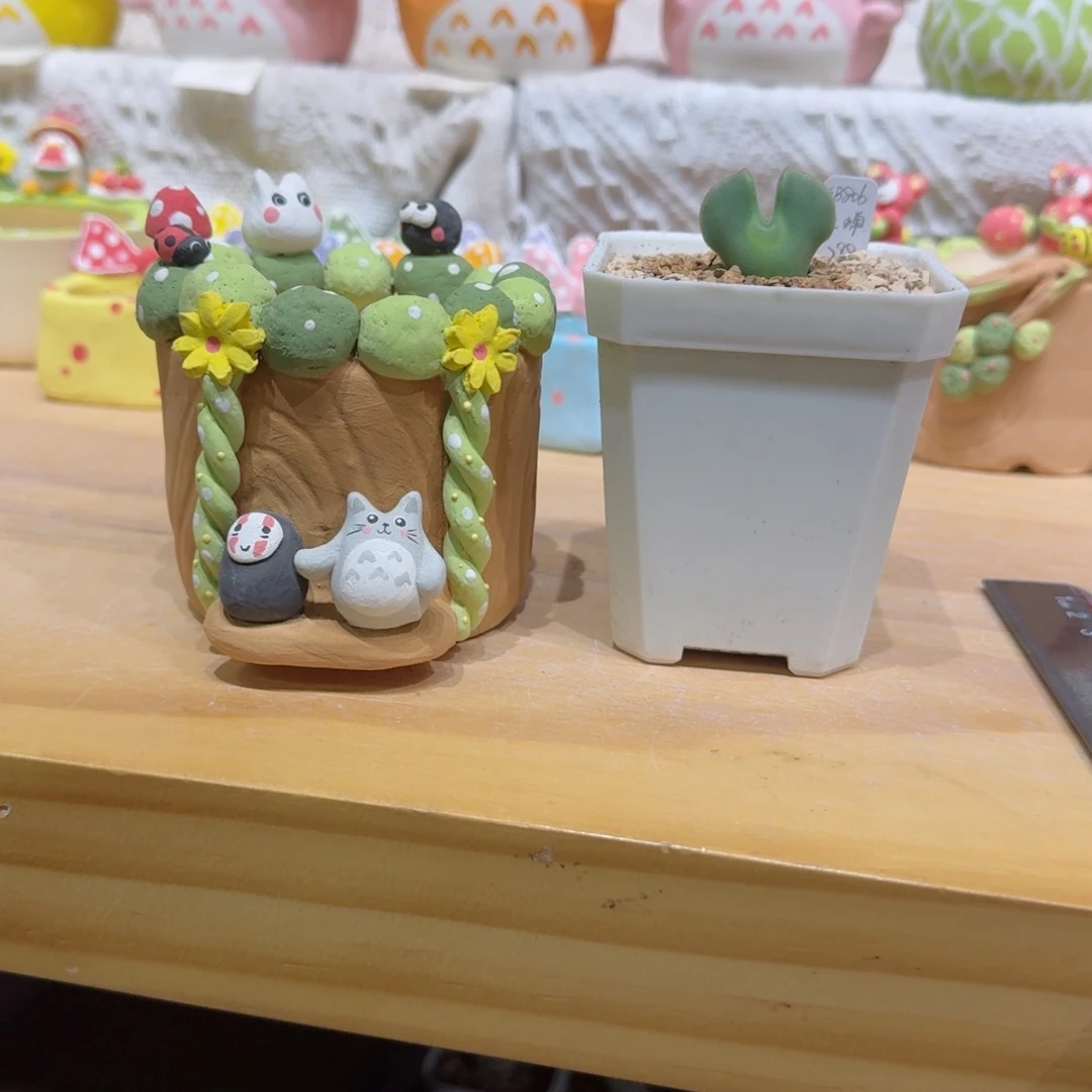 S***f1003-050连盆带花大眼空蝉