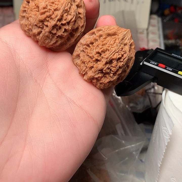 35尺寸全品满天星文玩核桃