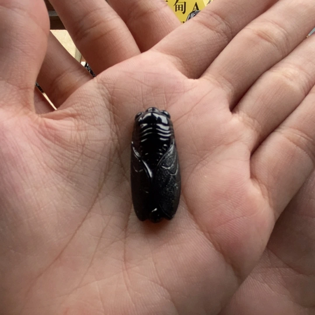颈饰未镶嵌翡翠金蝉