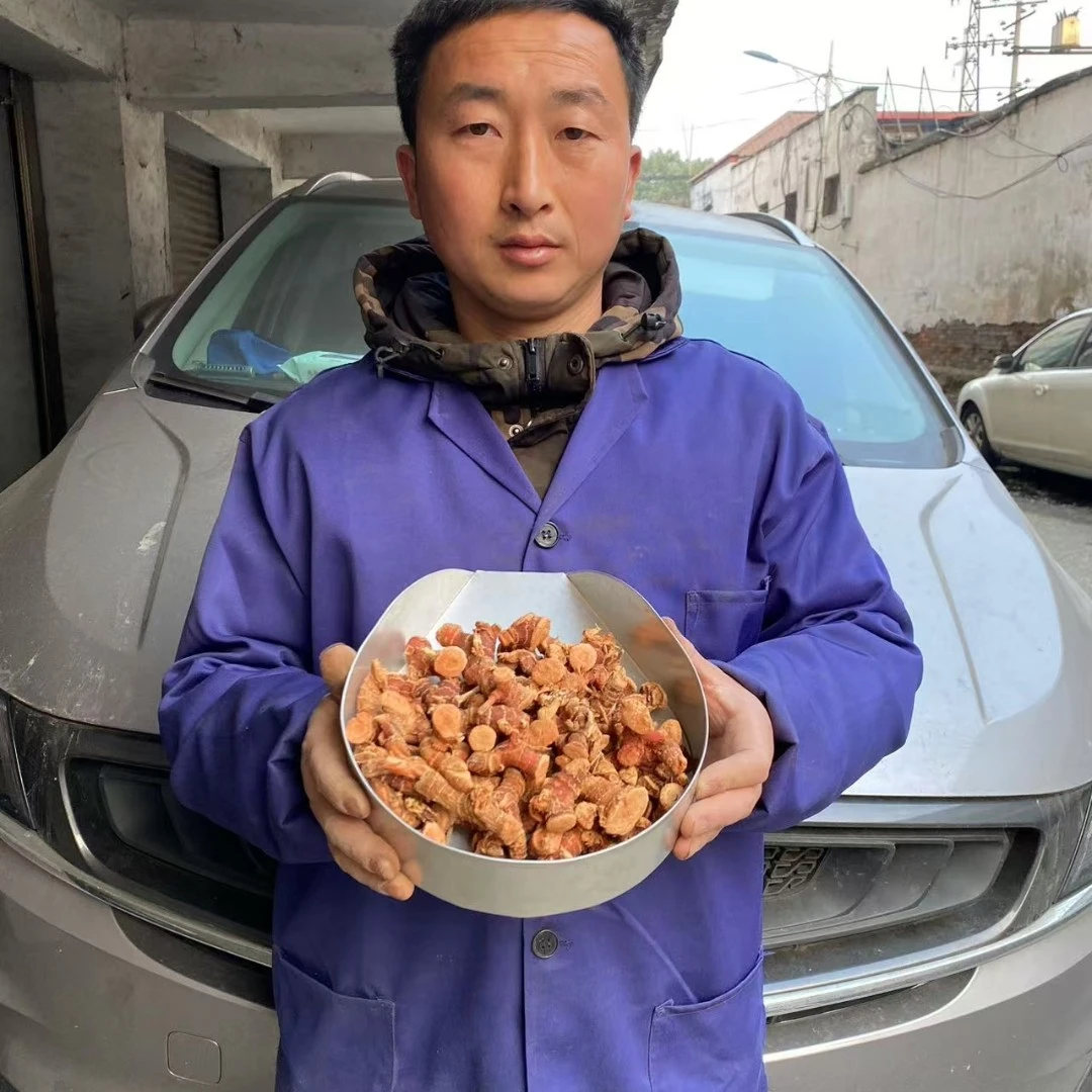 高良姜 广西大个选货高良姜农家货无添加