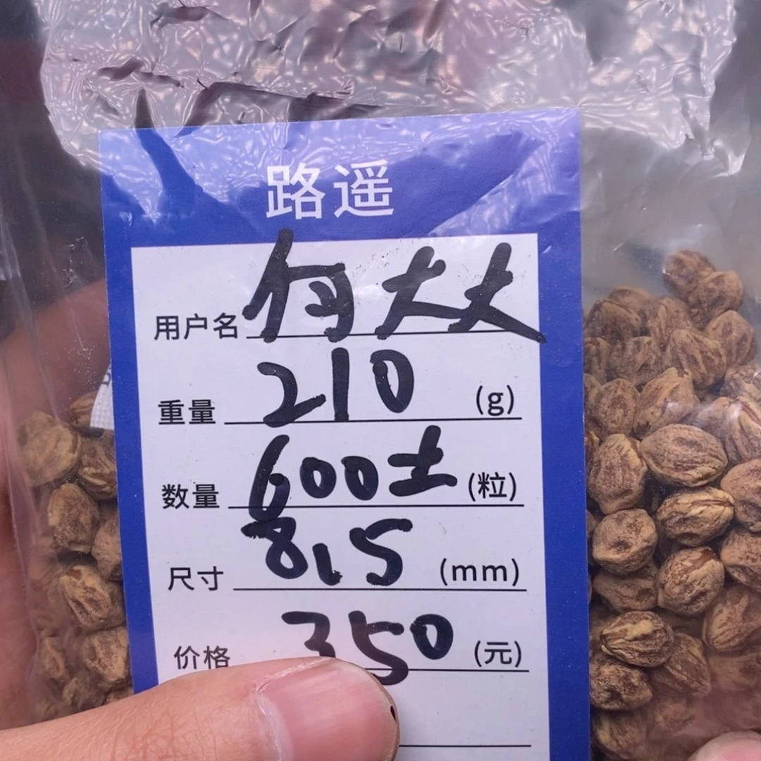 柏香籽/百香籽吊坠何*大