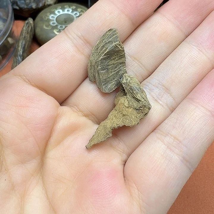 大叶紫檀（黑酸枝木类）
