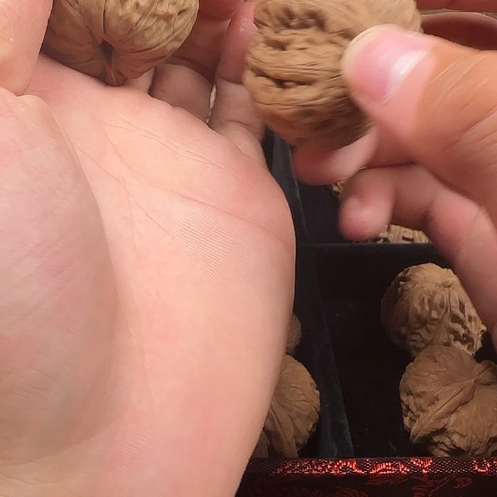 0***6吊坠龙脊菩提啊啊啊啊啊啊啊啊啊啊啊啊1