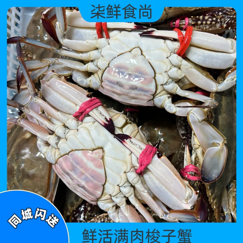 全母足黄母螃蟹6-8两每只（多规格可选）精品
