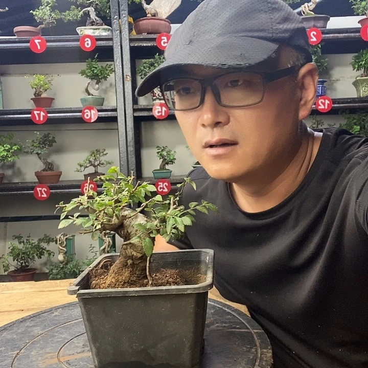 王***艺无花朵小饿狼鱼一刻