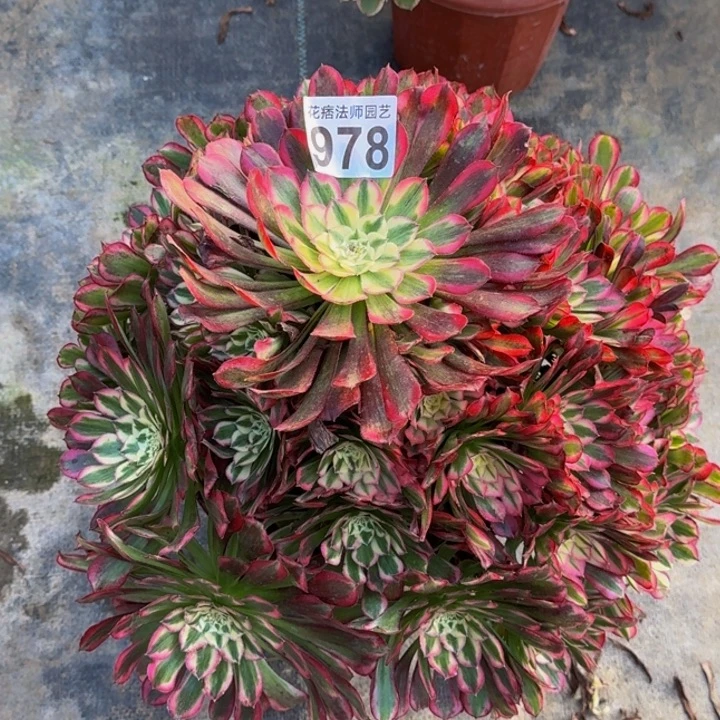 @***H0000000000978绿体铜壶