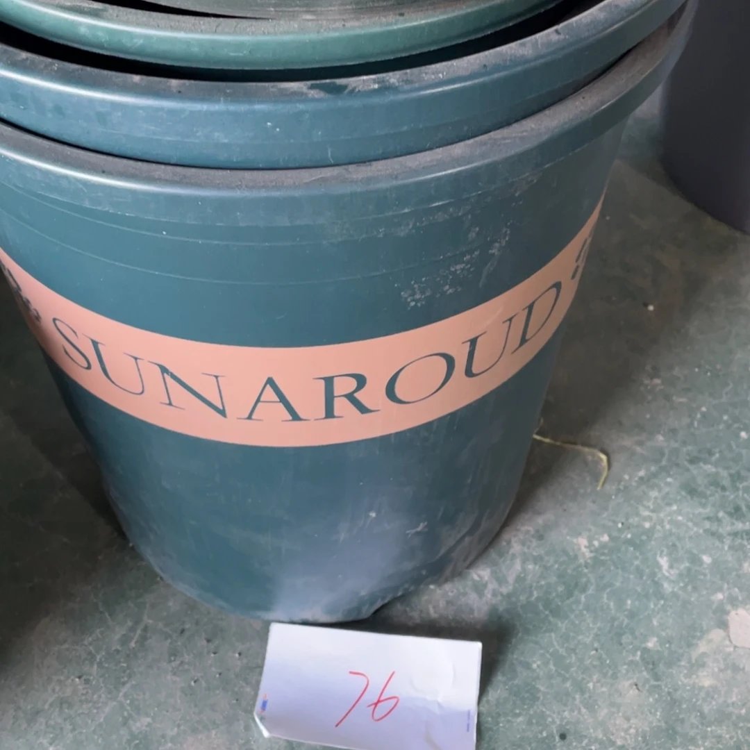 编号是76号的76号的