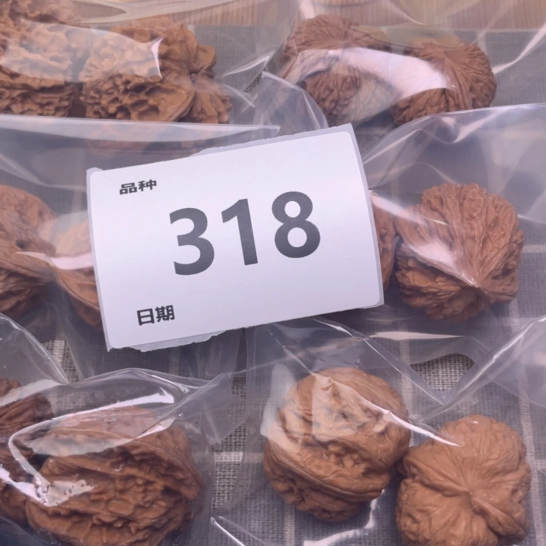 把件文玩核桃318号6对带练手元宝