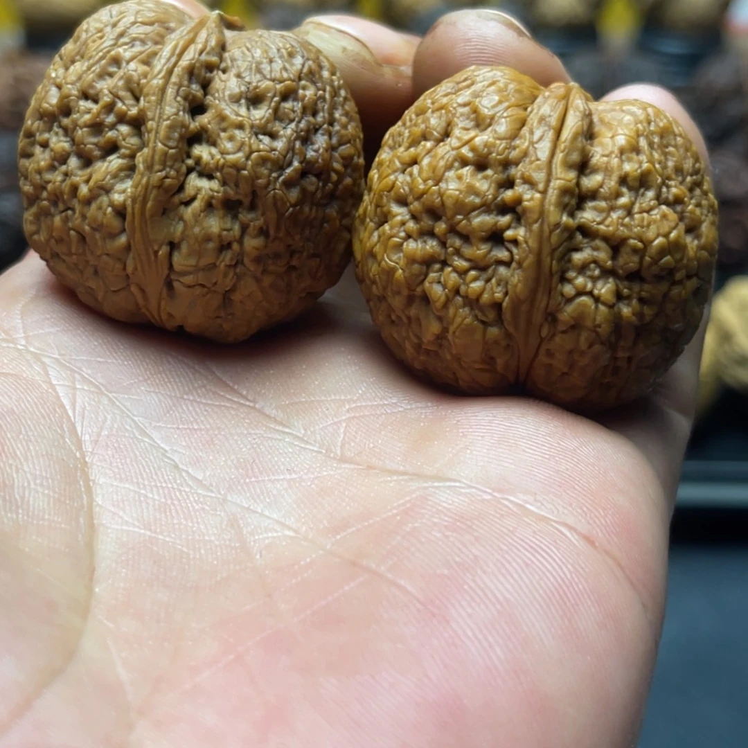 37mm苦头陀 一物一图