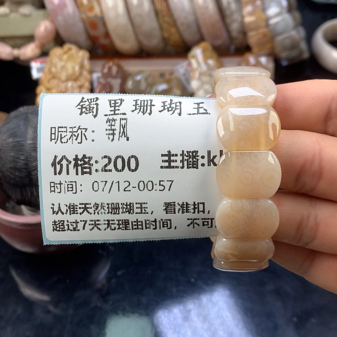 【闪购商品】硅化珊瑚（珊瑚玉）未镶嵌颈饰等*