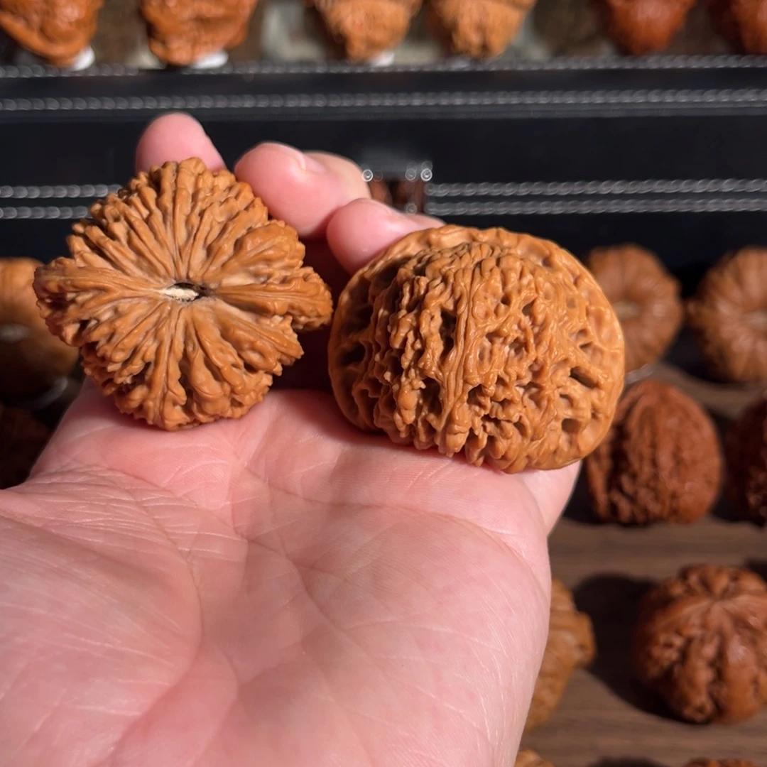 手串/手链核桃50全品赵喜满毕业 56克