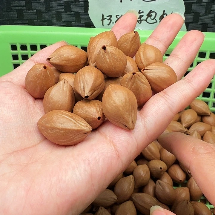 手串/手链橄榄核橄榄
